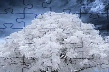 árbol nevado jigsaw puzzle