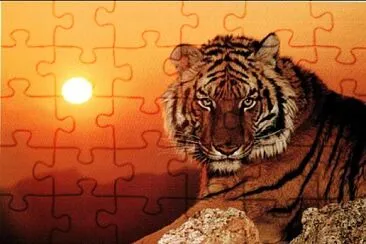 Hermoso jigsaw puzzle