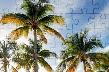 Plage jigsaw puzzle