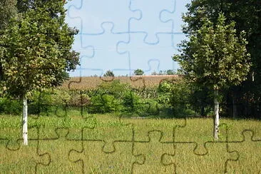 custodi della campagna jigsaw puzzle