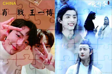 Chinese actor Xiao Zhan / Wang Yibo jigsaw puzzle