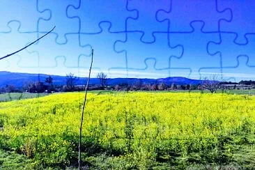 NATURALEZA jigsaw puzzle