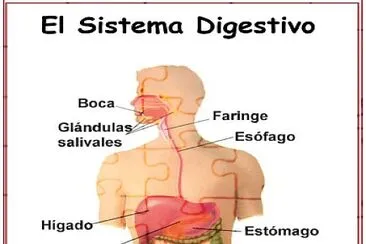 sistema jigsaw puzzle