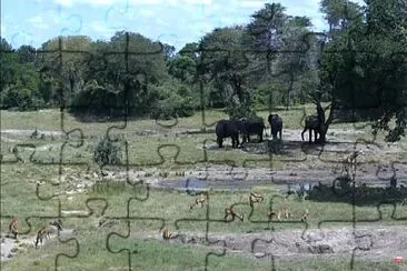 Africa jigsaw puzzle