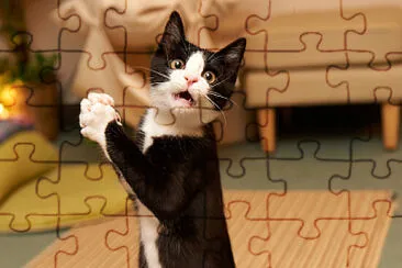 Blind cat jigsaw puzzle