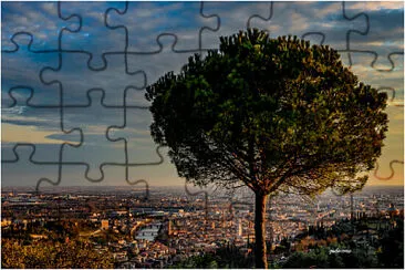 verona jigsaw puzzle