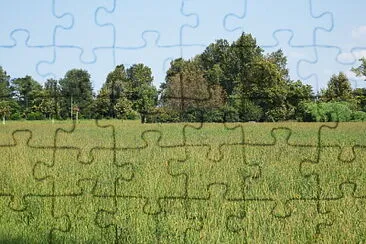 distesa d 'erba jigsaw puzzle