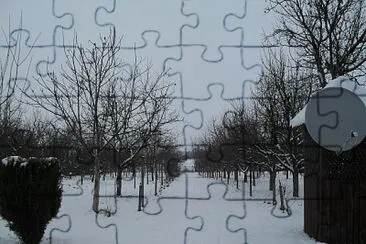 IARNA jigsaw puzzle