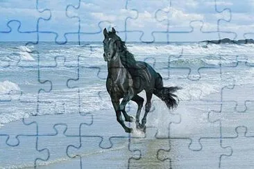 381 jigsaw puzzle