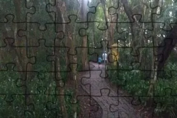 Parque-Curitiba-PR-Brasil jigsaw puzzle