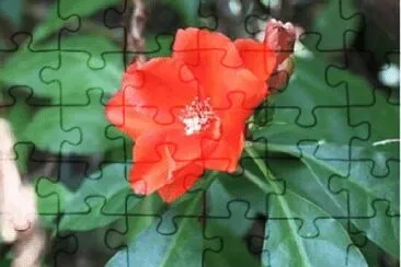 OK jigsaw puzzle