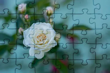 OK jigsaw puzzle