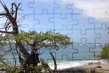 Colombie jigsaw puzzle