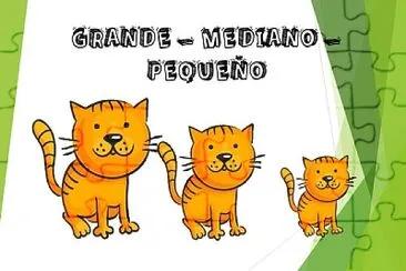 GATITOS POR TAMAÑO