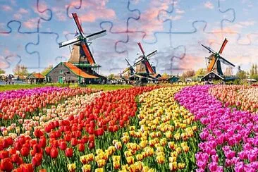 KEUKENHOF-Holanda jigsaw puzzle