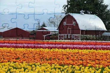 Skagit Valley-EEUU jigsaw puzzle