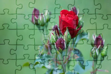 OK jigsaw puzzle