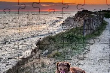 Chien jigsaw puzzle