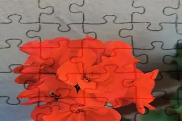 Flor jigsaw puzzle