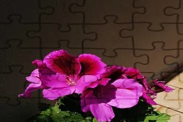 Flor jigsaw puzzle