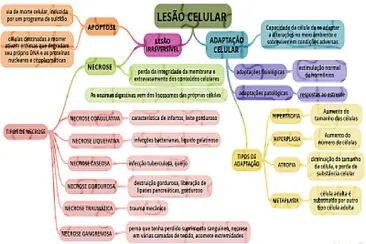 Mapa mental jigsaw puzzle