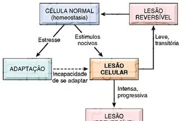 resumo