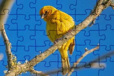 Imagem jigsaw puzzle