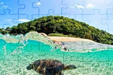 tortuga marina jigsaw puzzle