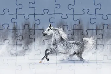 PonyPuzzles jigsaw puzzle