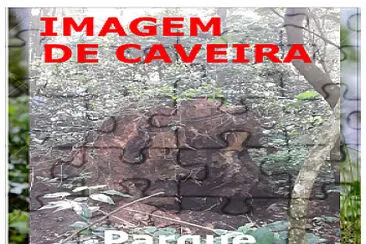 Imagem de caveira no Parque