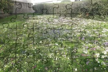 Printemps Hauts de Seine