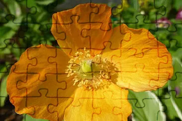 OK jigsaw puzzle