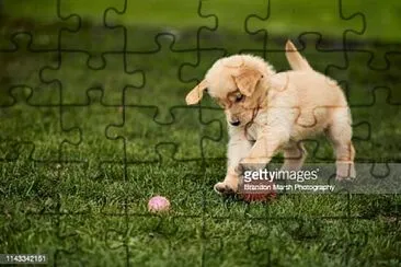 test jigsaw puzzle