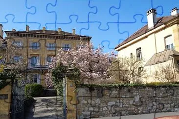 Neuchâtel magnolia 2 jigsaw puzzle