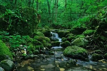 פאזל של Stream in Forest