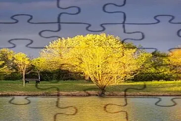 Arbre jigsaw puzzle