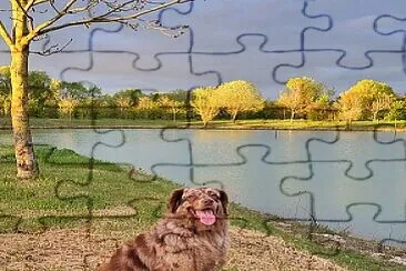 Chien jigsaw puzzle