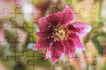 OK jigsaw puzzle