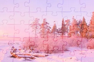 General jigsaw puzzle