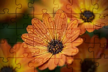 OK jigsaw puzzle