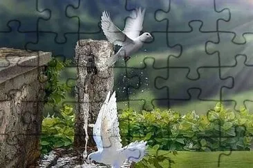 383 jigsaw puzzle