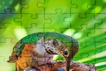 Eu jigsaw puzzle