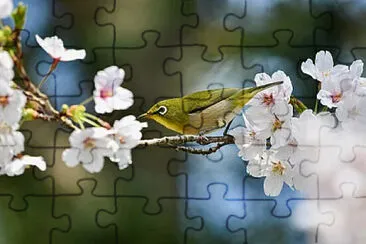 Toy jigsaw puzzle