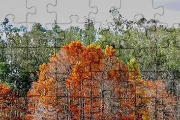 Otoño jigsaw puzzle