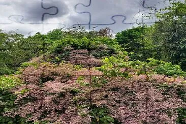 Arbusto, Jardín Botánico, UPR jigsaw puzzle