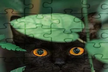 gato negro jigsaw puzzle