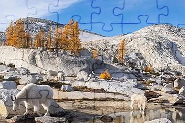 imagem jigsaw puzzle