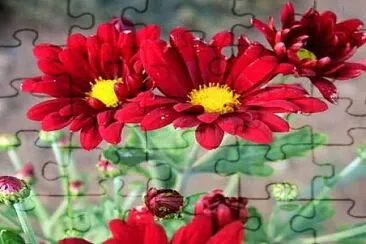 imagem jigsaw puzzle