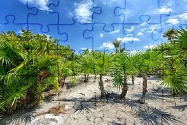 Toy jigsaw puzzle