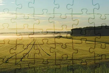 Toy jigsaw puzzle